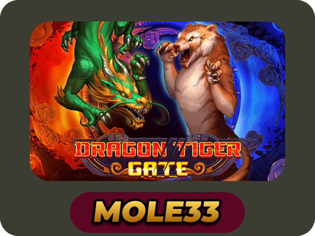 Dragon Tiger Gate